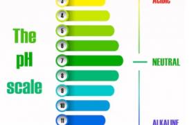 UNDERSTANDING pH LEVELS