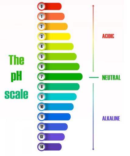 UNDERSTANDING pH LEVELS